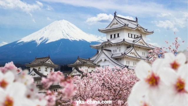 Universitas Terbaik Di Jepang